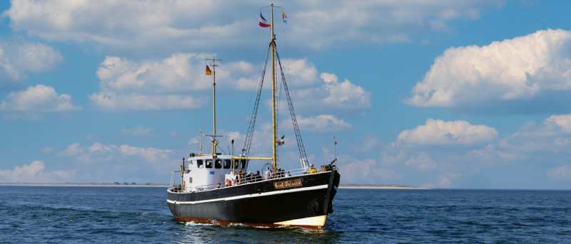 Kombiticket: Seehunde & Aquarium in Abfahrt: Hafen List