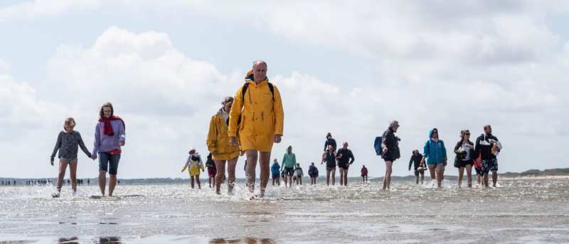 Wattwanderung zwischen den Inseln Föhr und Amrum in Abfahrt: Hafen Hörnum
