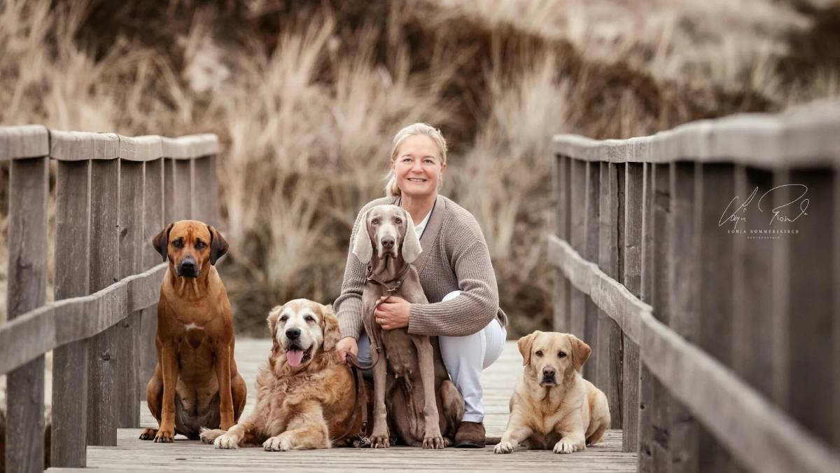 Ganztägige Hundebetreuung in Sylter Hunde Service, Uwe-Jens-Lornsen-Wai 6, 25980 Sylt, Keitum