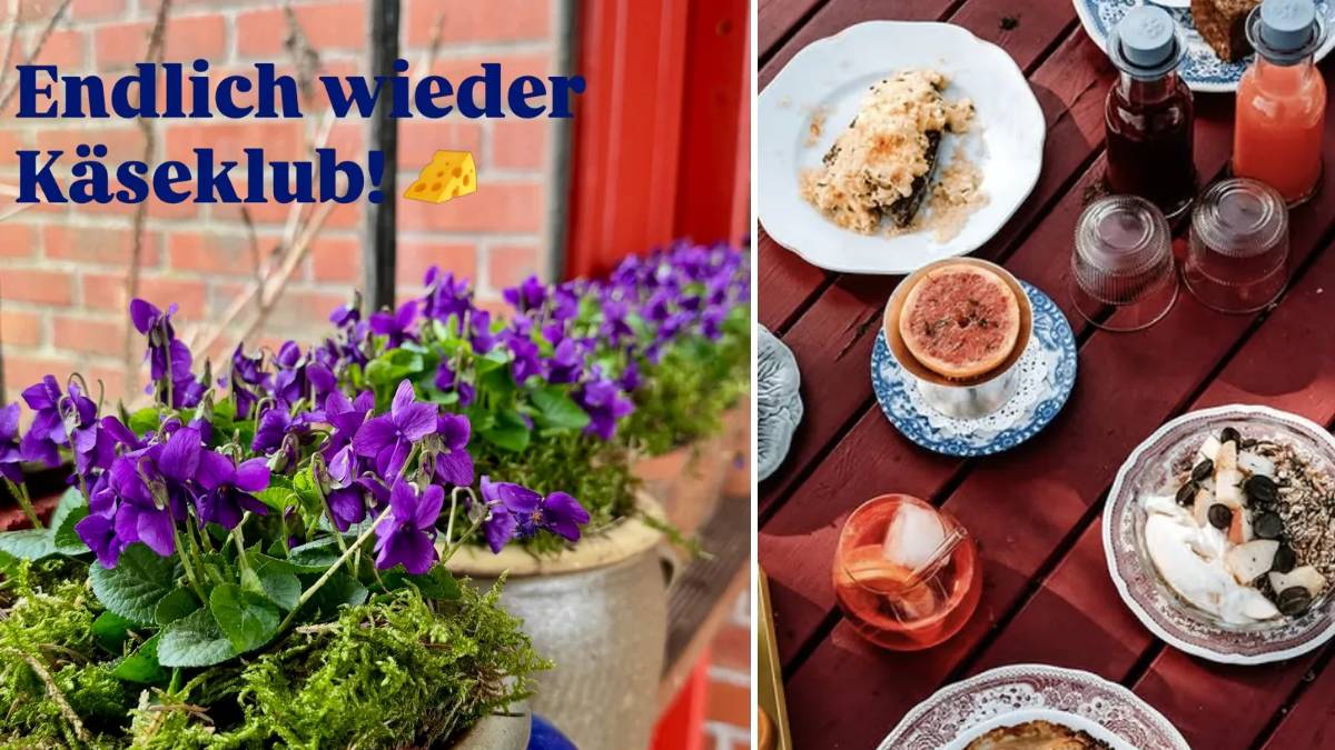KÄSEKLUB.Keitum in KÄSEKLUB, Siidik 6, 25980 Sylt, Keitum