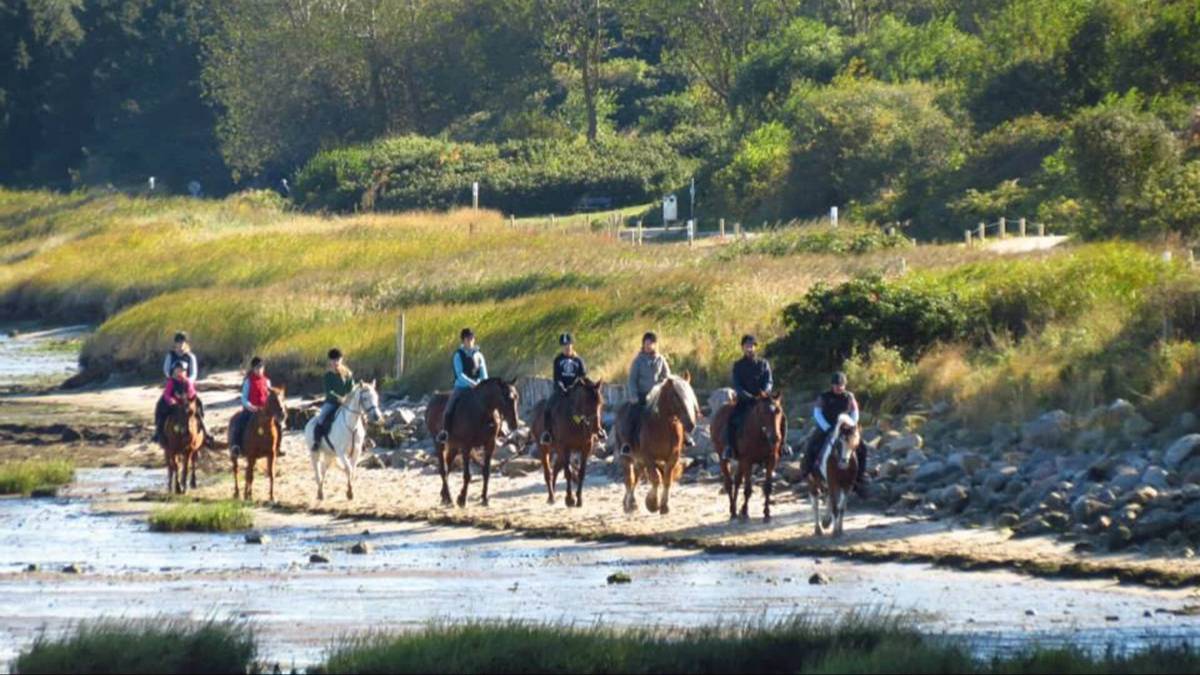 Picasso trifft Ponyreiter - Schatzsuche! in Reitschule Grünhof, Gurtstig 13, 25980 Sylt, Keitum