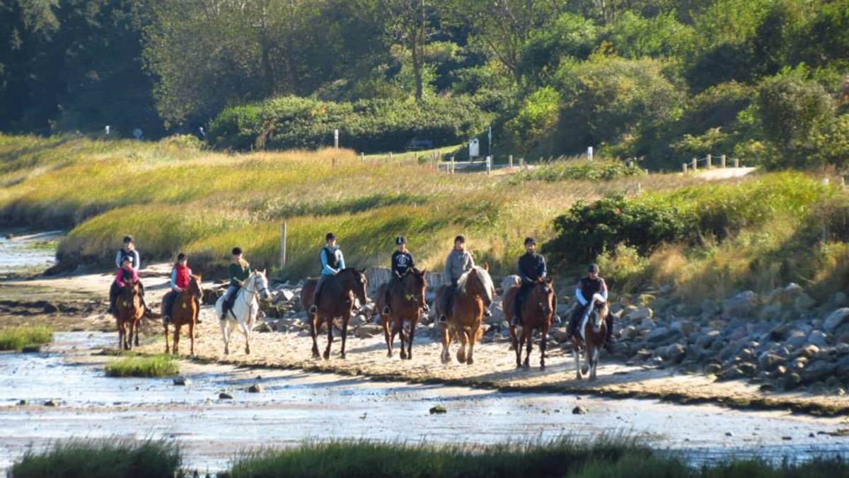 Grünhof - Ponyreiten entlang der Salzwiesen in Reitschule Grünhof, Keitumer Süderstr. 80, 25980 Sylt, Keitum