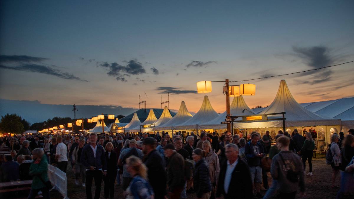 Tønder Festivsl in Tønder Festival, Vestergade 80, 1. sal, 6270 Tønder