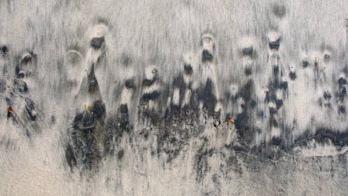 Ausstellung: „Creatures. David Batchelder“ in Sylt Museum, Am Kliff 19, 25980 Sylt, Keitum