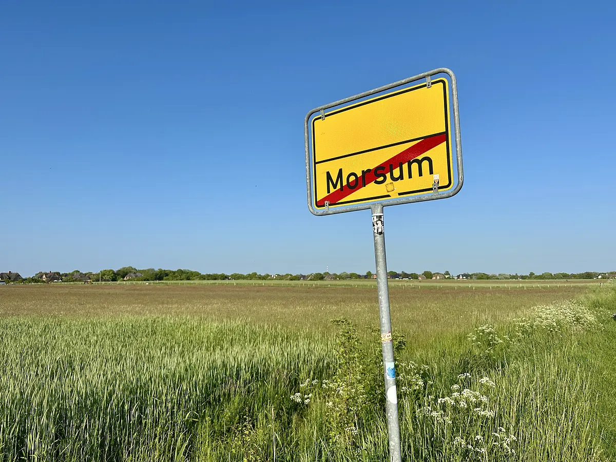 Titelbild
