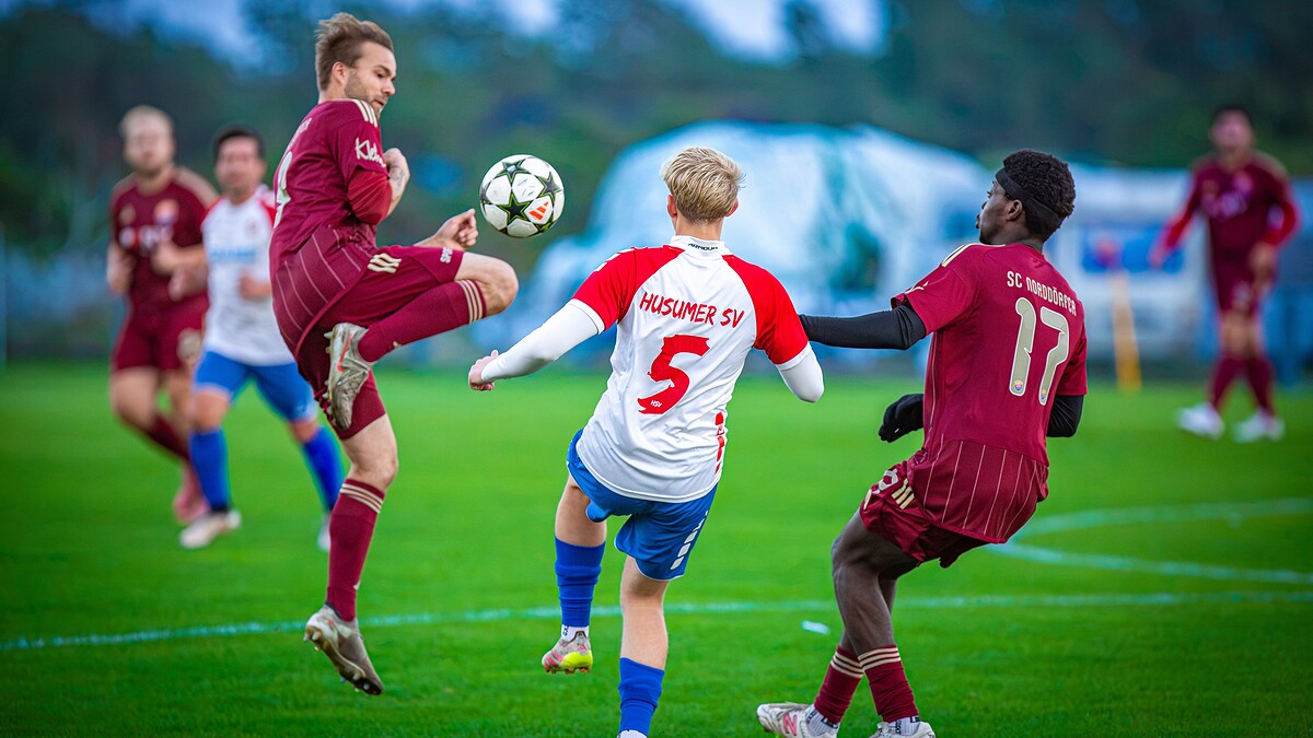 Titelbild