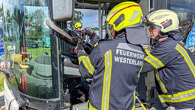 News Bild