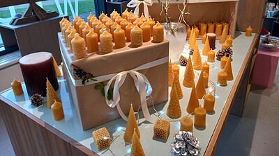 Galerie