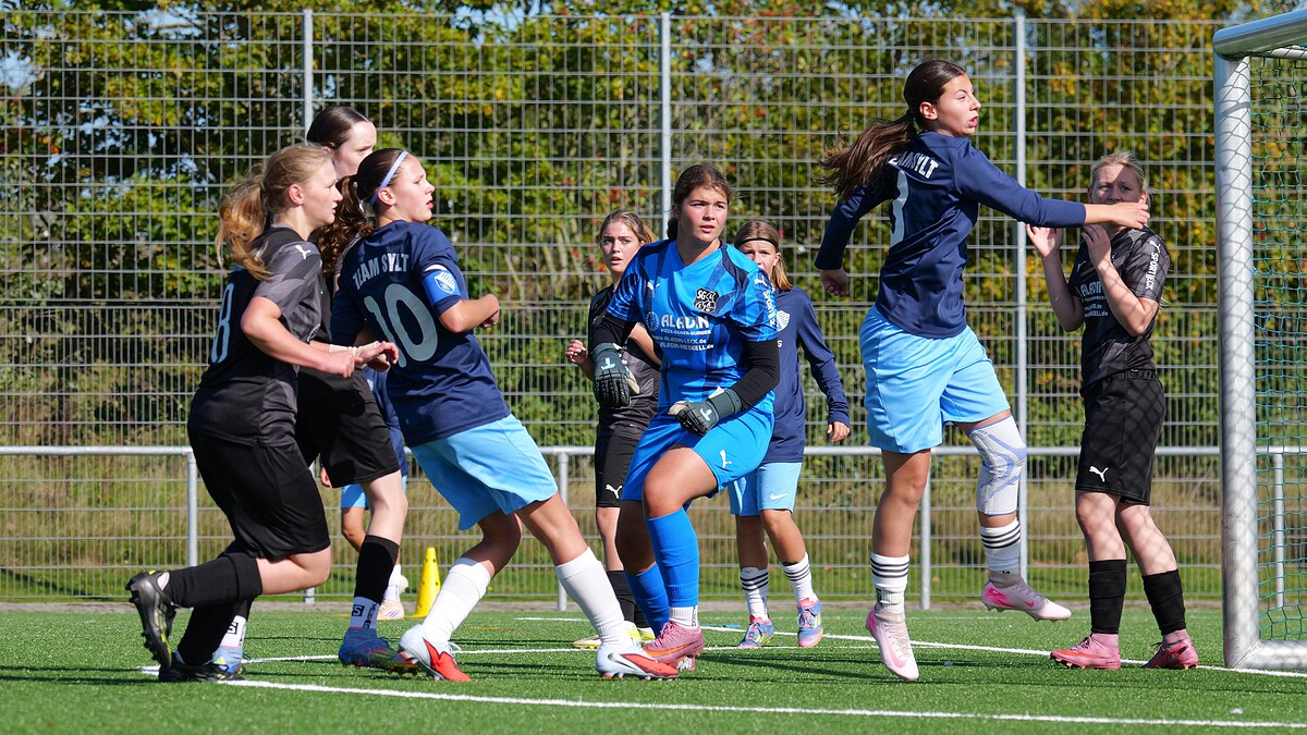 Titelbild