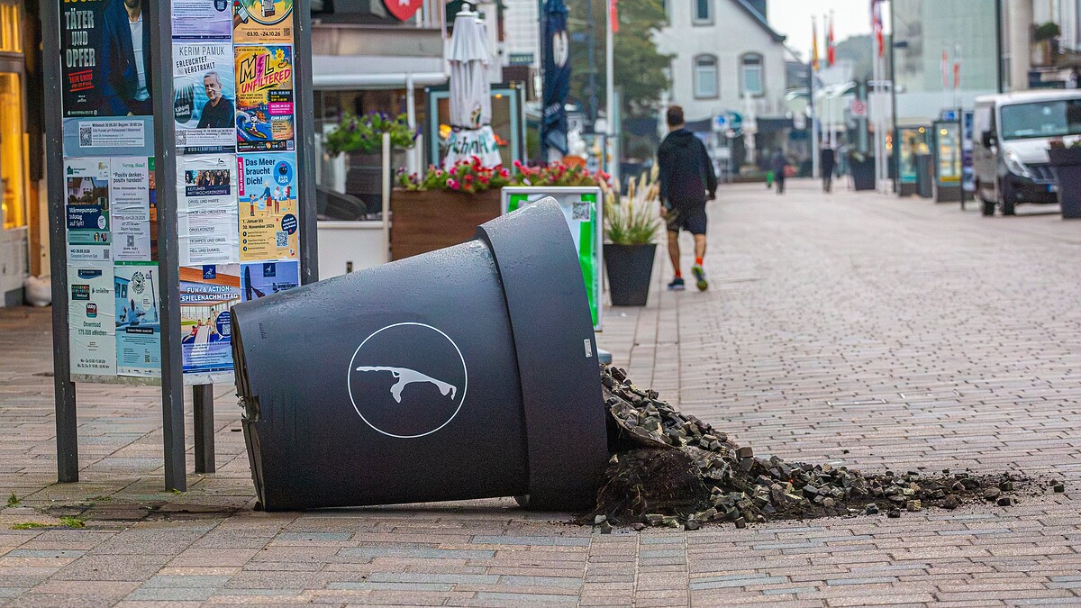 Titelbild