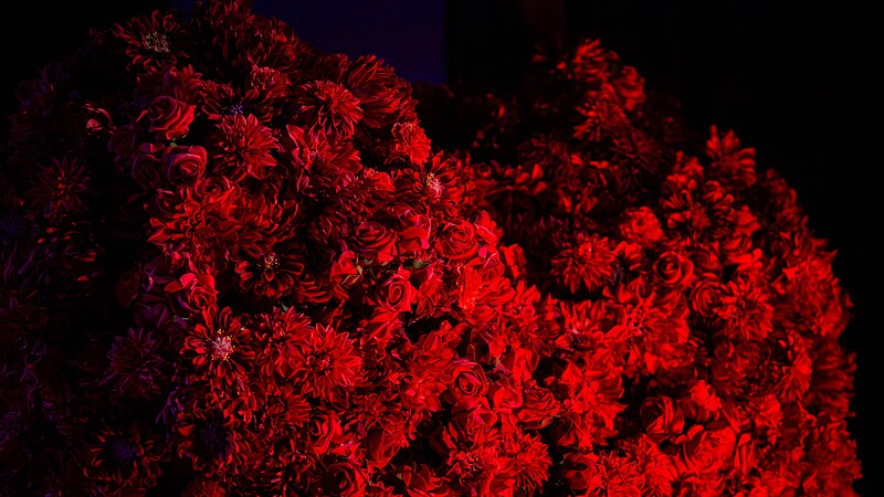 Ein Herz für Mark Medlock: Das große rote Blumenherz von Blumen Hansen entdeckte der Sänger ganz zufällig – eine liebevolle Überraschung zum gelungenen Comeback auf Sylt.