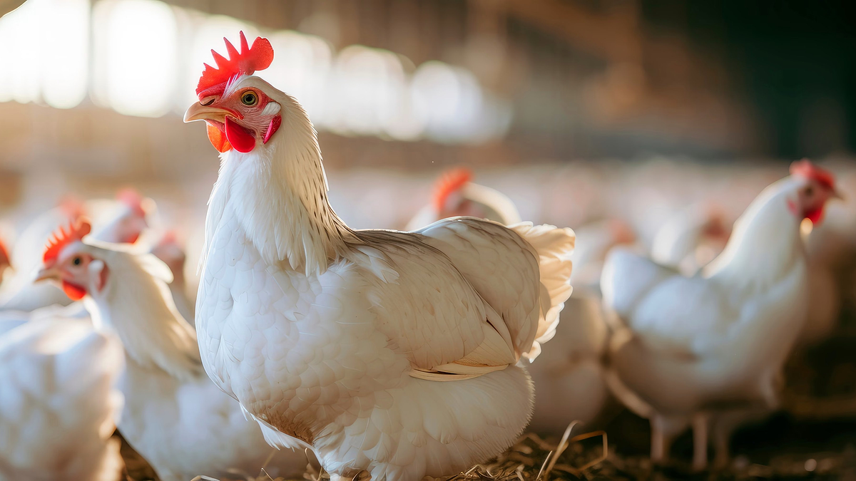 Titelbild