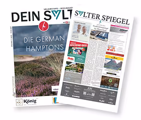 E-Paper Vorschau