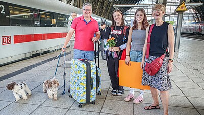 News Bild
