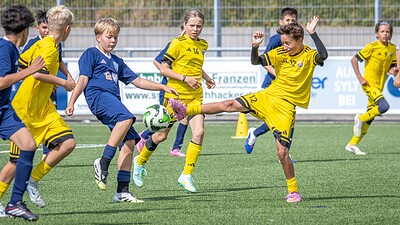 News Bild
