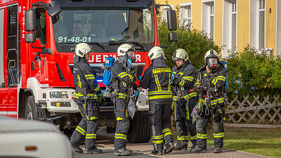 News Bild