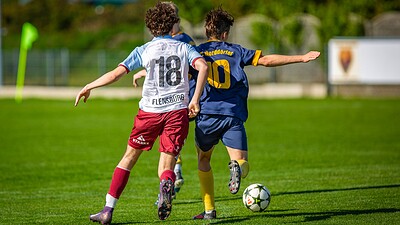 News Bild